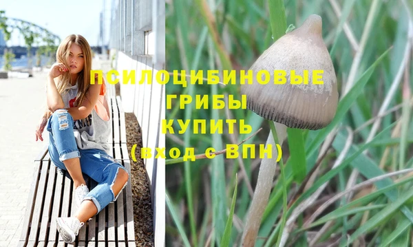 каннабис Белокуриха