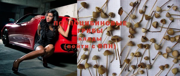 хмурый Белоозёрский